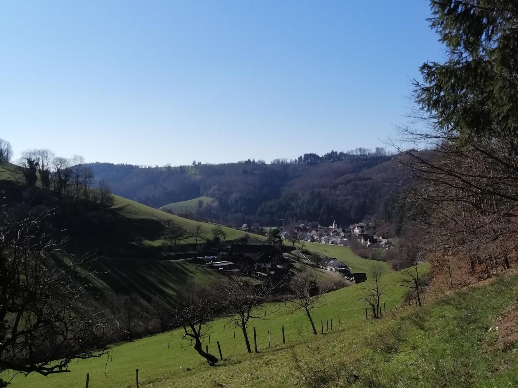 Ferienwohnung Am Spielberg Freiamt Luaran gambar